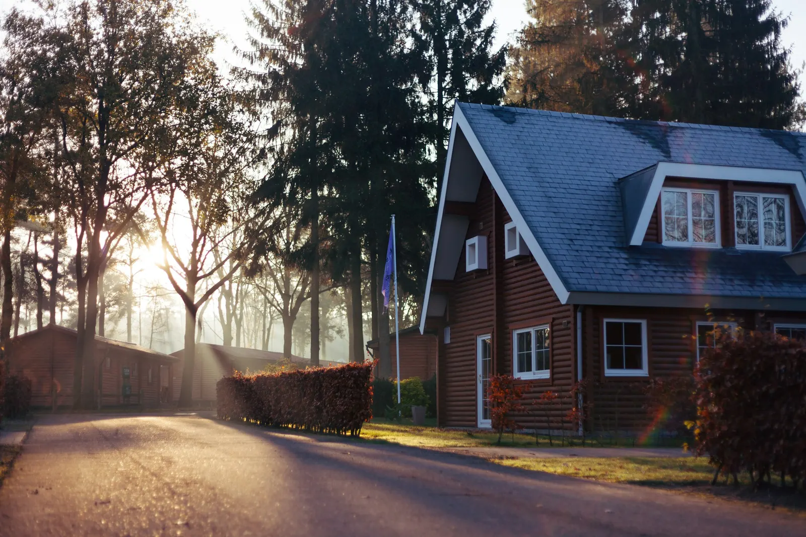 A tree-lined residential street of two-storey homes on a bright Central Florida morning